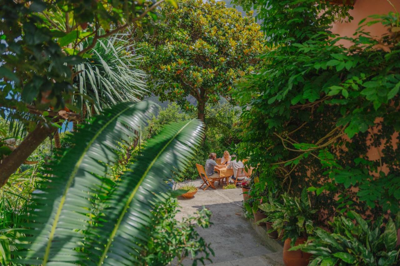 Maison d'hôtes Madeira Surf São Vicente