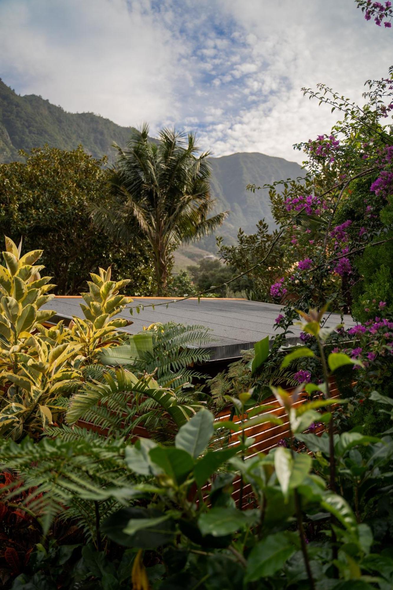 Maison d'hôtes Madeira Surf 2*
